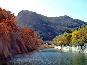 澳门天天免费精准大全，丰原网站建设